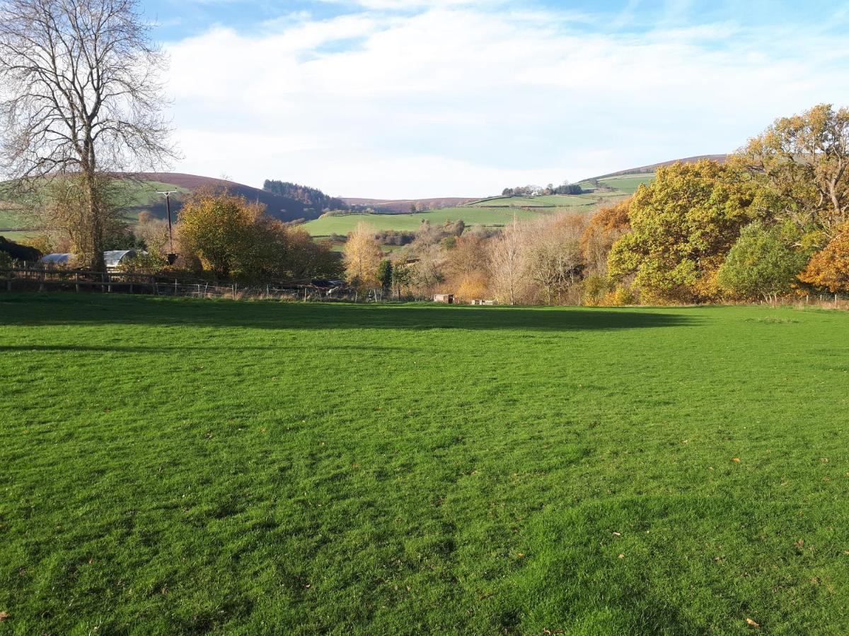 Buzzards Breg Villa Builth Wells Dış mekan fotoğraf